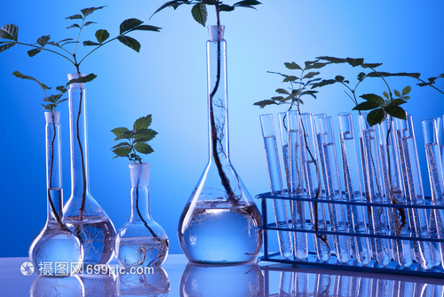 生物工程引領(lǐng)未來 工廠化植物實驗的技術(shù)突破與應(yīng)用前景